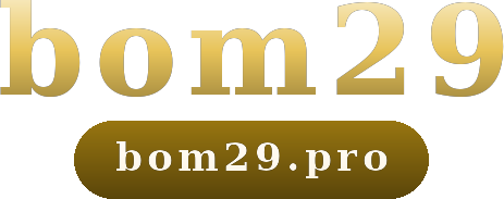 bom29 logo